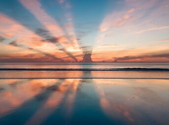 shallow focus photo of sea