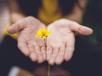 selective focus photography of woman holding yellow petaled flowers