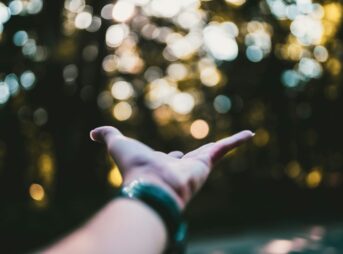 left human hand in selective-focus photography
