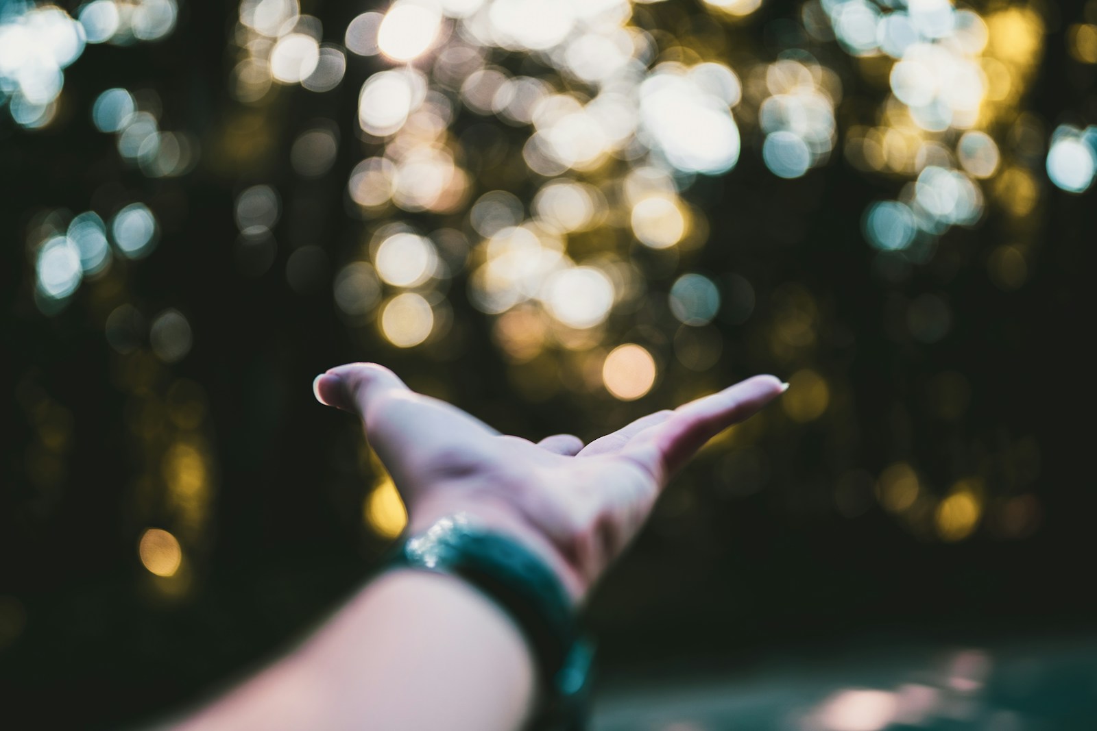 left human hand in selective-focus photography